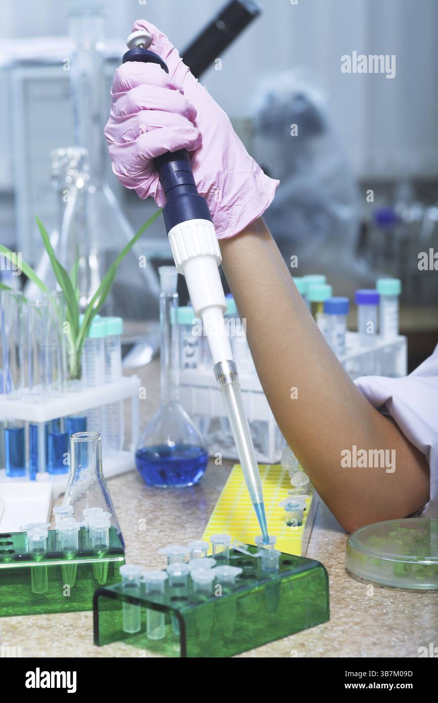 Arbeitsplatz modernes Labor für molekularbiologische Tests Stockfoto