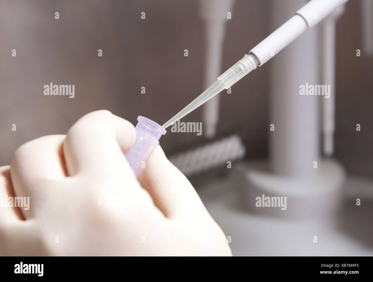 Molekularbiologie. Hand mit kleinem Rohr Stockfoto