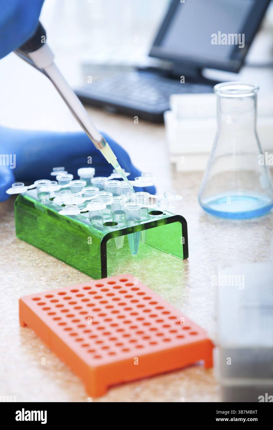 Arbeitsplatz modernes Labor für molekularbiologische Tests Stockfoto