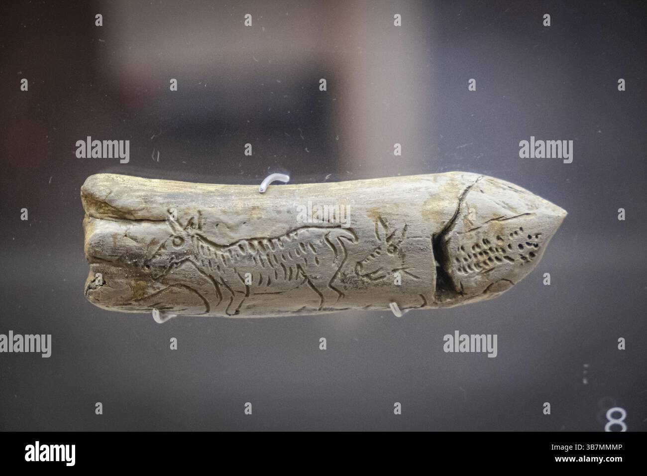 Zwei Hirsche auf Rentiergeweih, oberpaläolithisches Magdalenian, Museo de la Evolucion humana, MEH, Burgos, Spanien, Europa Stockfoto