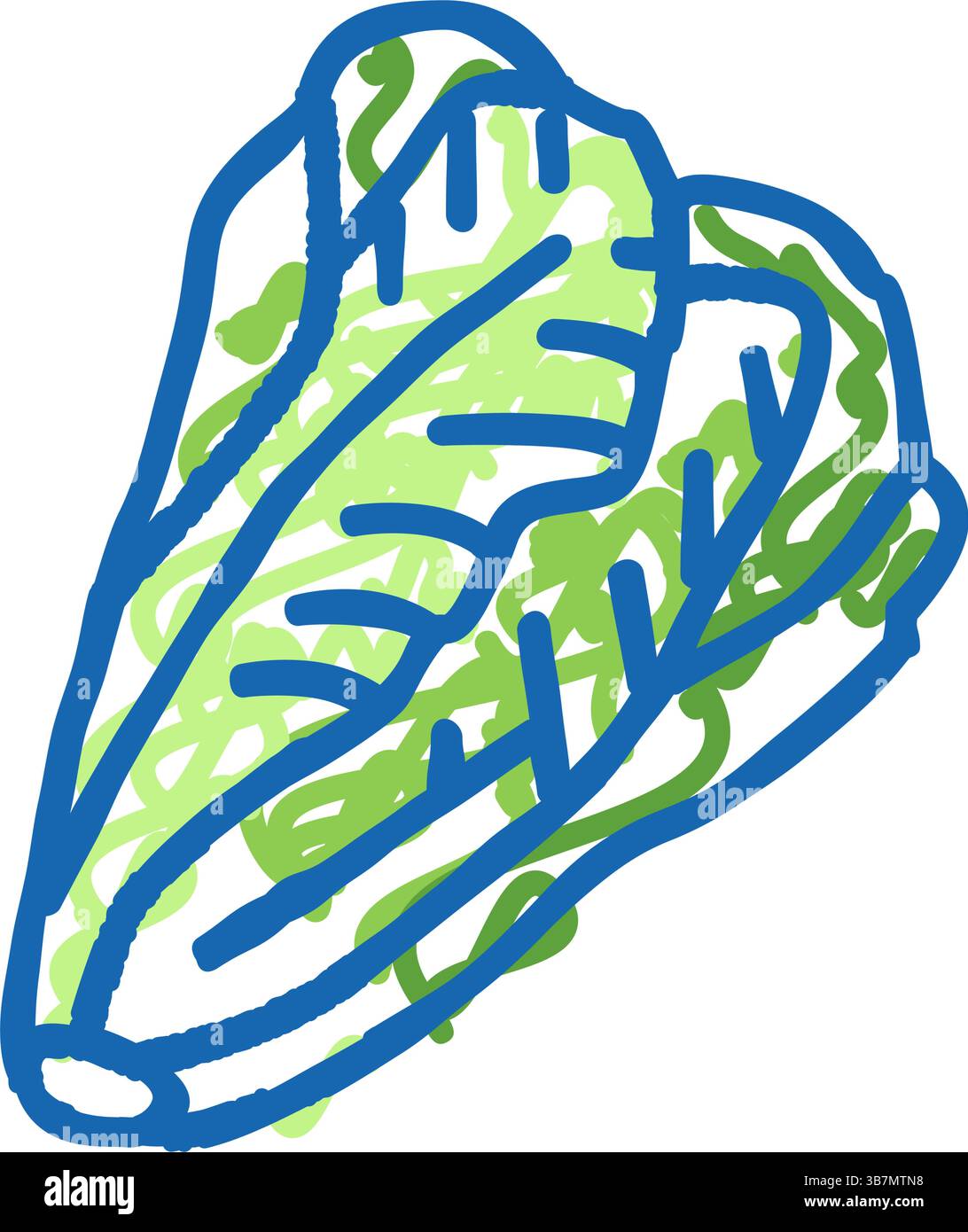 Kopfsalat Kohl Symbol Kritzelillustration Stock Vektor