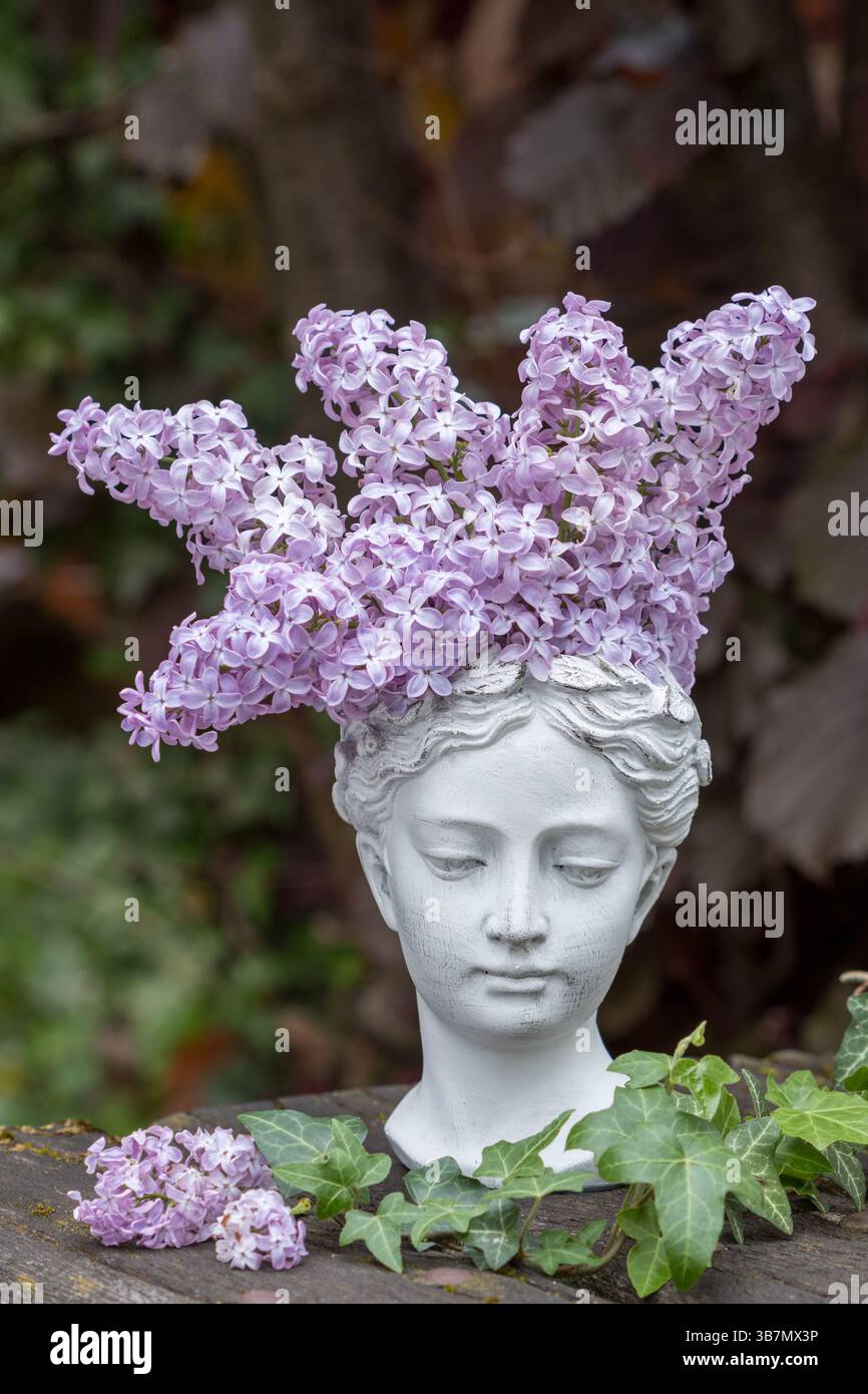 Weibliche Büste mit Fliederblüten als Gartendekoration Stockfoto