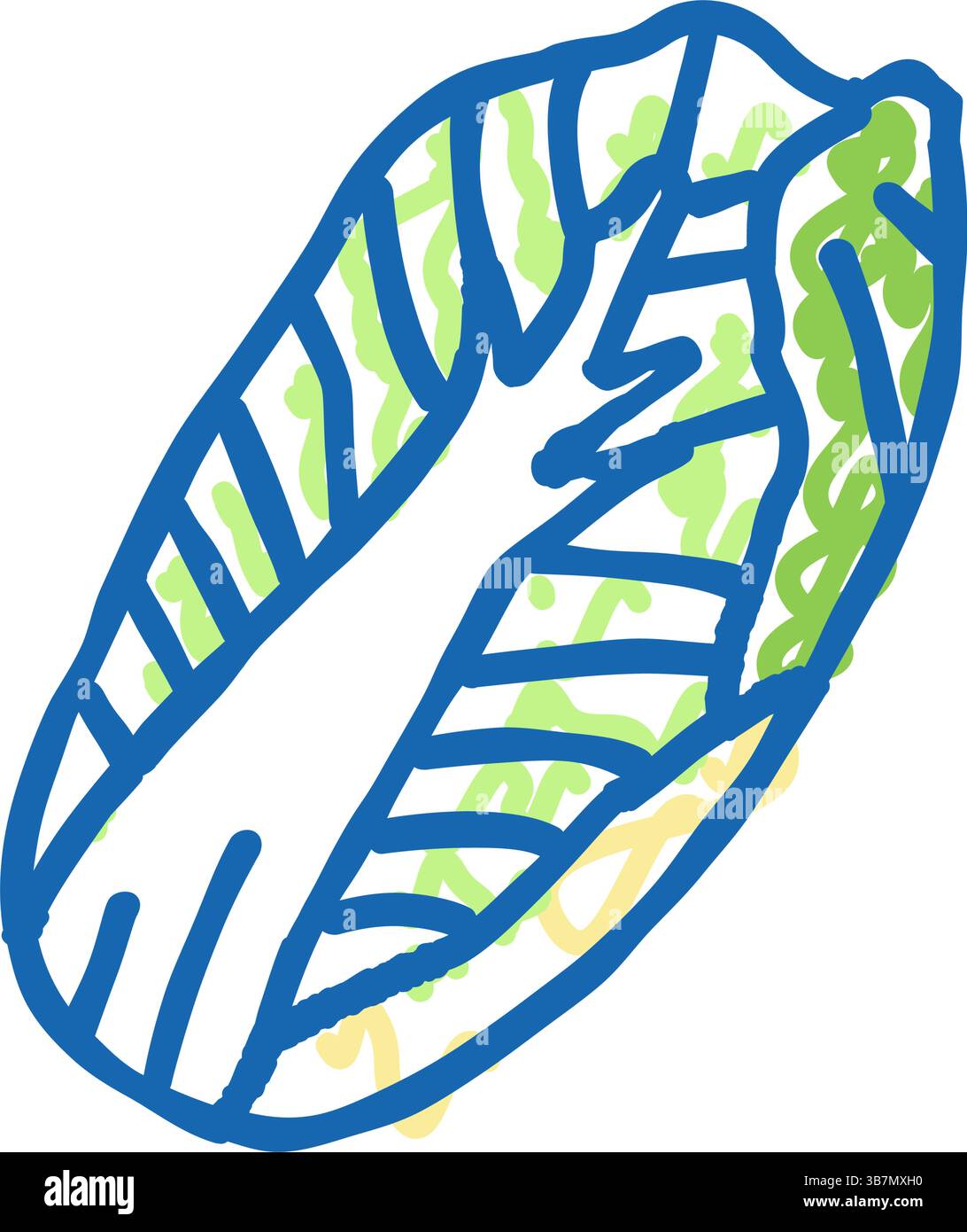 chinakohl Icon Kritzelillustration Stock Vektor