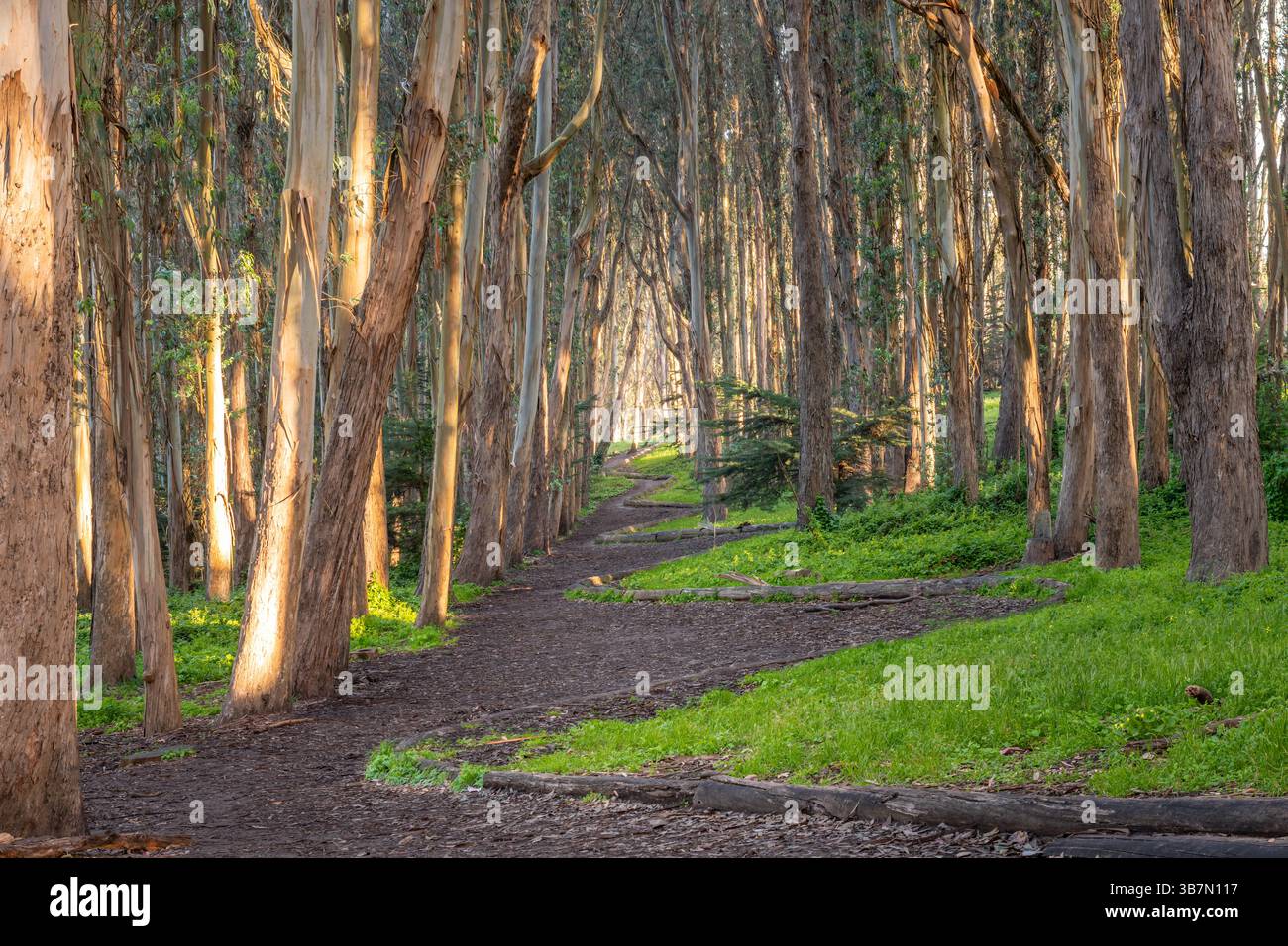 San Francisco, Kalifornien Stockfoto