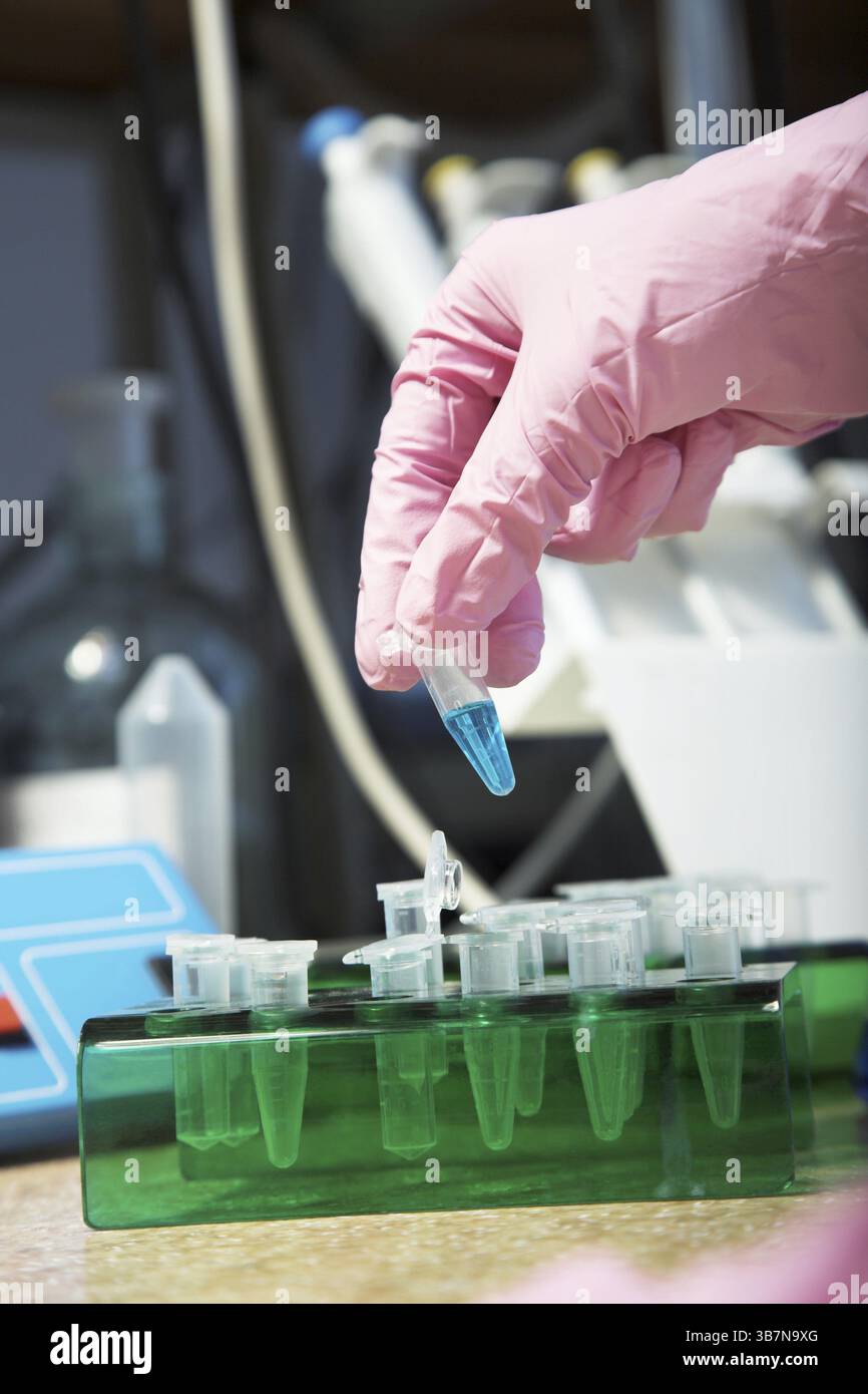 Arbeitsplatz modernes Labor für molekularbiologische Tests Stockfoto