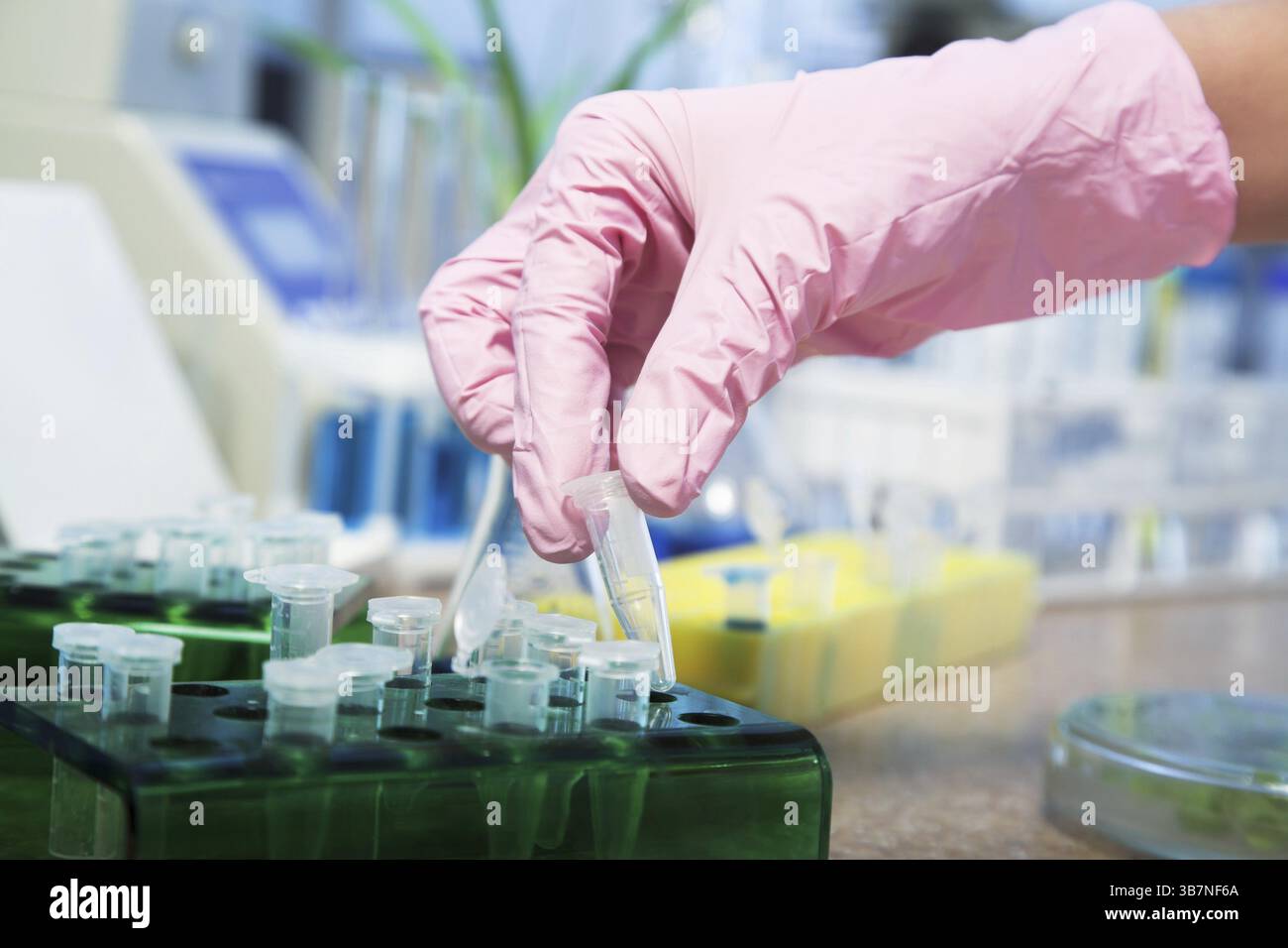 Arbeitsplatz modernes Labor für molekularbiologische Tests Stockfoto