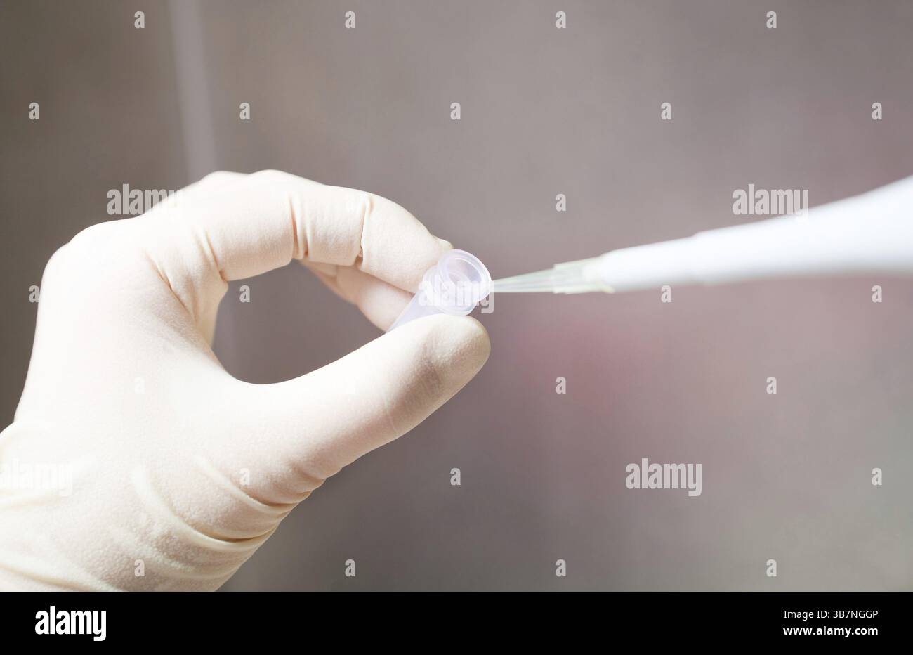 Molekularbiologie. Hand mit kleinem Rohr Stockfoto