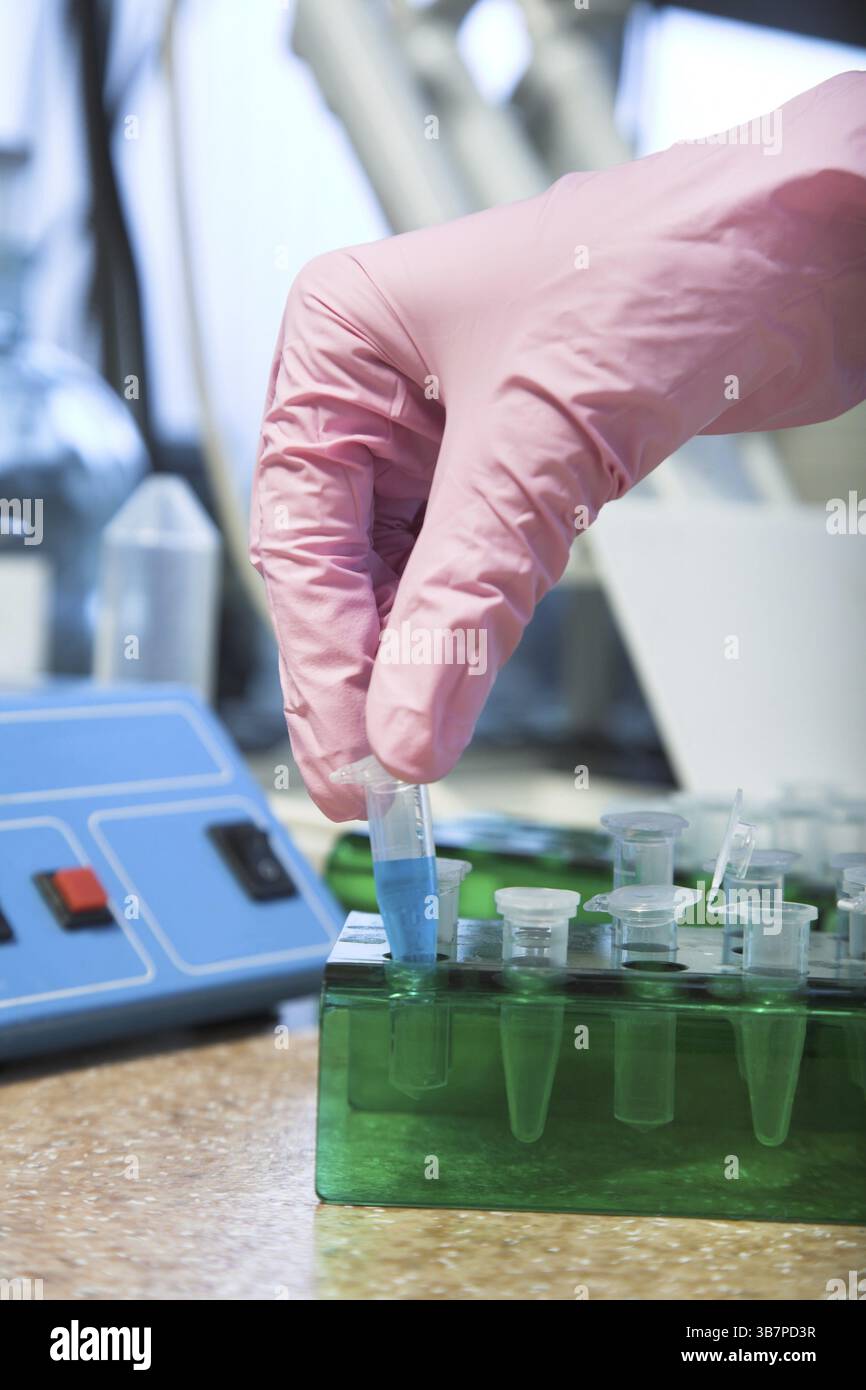 Arbeitsplatz modernes Labor für molekularbiologische Tests Stockfoto