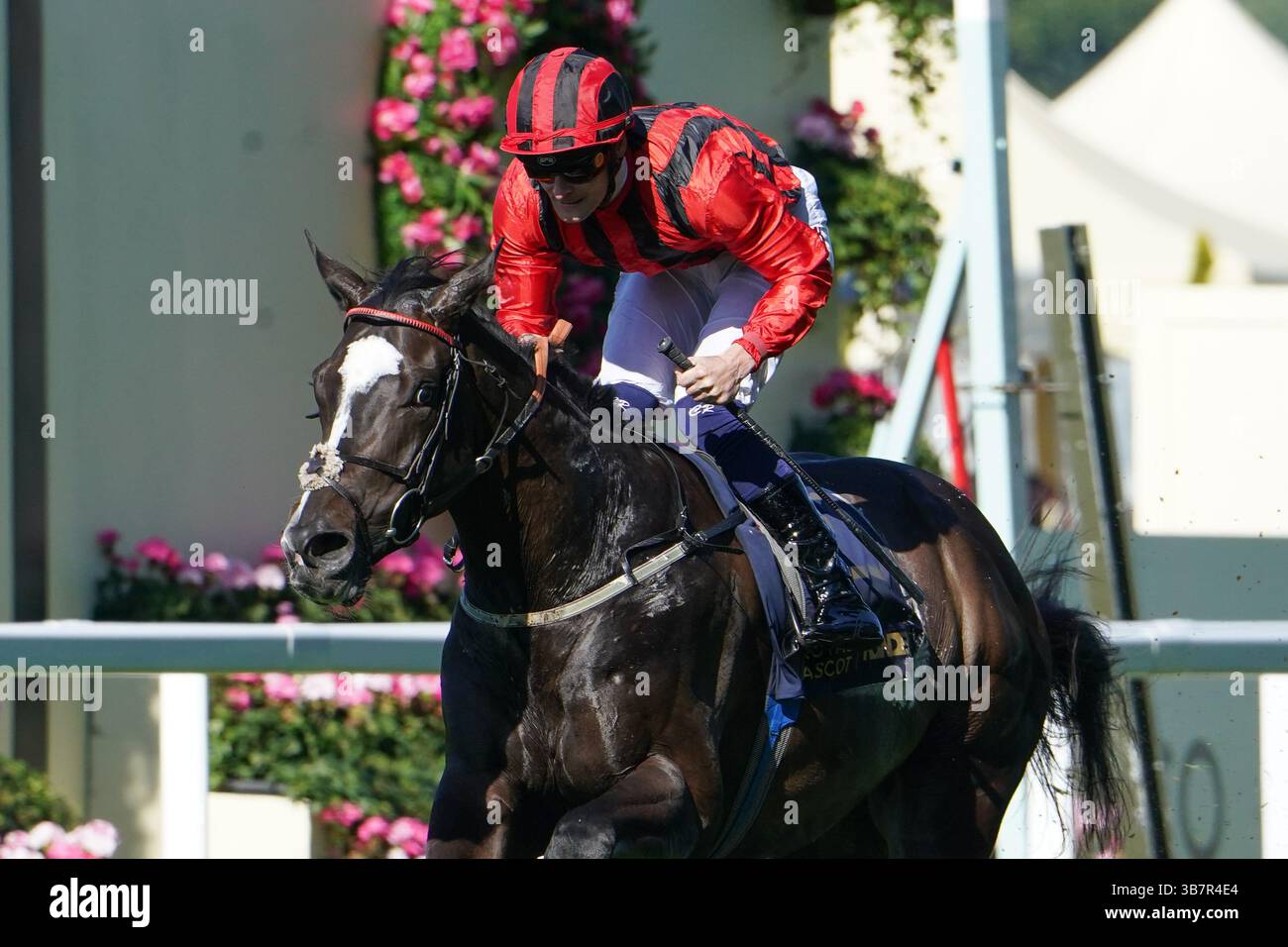 20. Juni 2024, London, USA: Mickley (23), geritten von Callum Rodriguez, gewinnt die Britannia Stakes am dritten Tag des Royal Ascot Race Meetings auf der Ascot Racecourse in Ascot, Großbritannien am 20. Juni 2024. Shamela Hanley/Eclipse Sportswire/CSM (Kreditbild: © CSM via ZUMA Press Wire) Stockfoto 20. Juni 2024, London, USA: Mickley (23), geritten von Callum Rodriguez, gewinnt die Britannia Stakes am dritten Tag des Royal Ascot Race Meetings auf der Ascot Racecourse in Ascot, Großbritannien am 20. Juni 2024. Shamela Hanley/Eclipse Sportswire/CSM (Kreditbild: © CSM via ZUMA Press Wire) Stockfoto