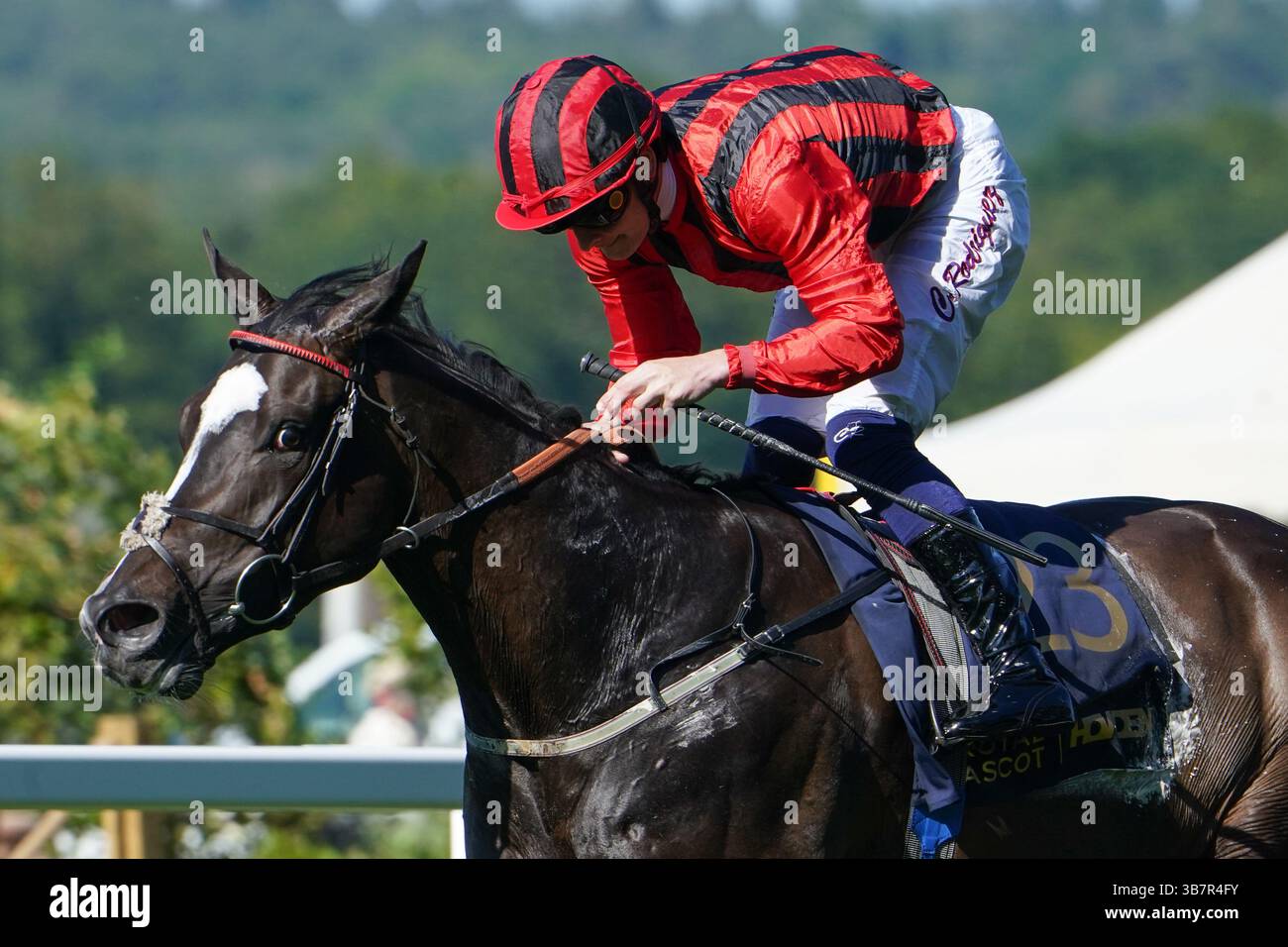 20. Juni 2024, London, USA: Mickley (23), geritten von Callum Rodriguez, gewinnt die Britannia Stakes am dritten Tag des Royal Ascot Race Meetings auf der Ascot Racecourse in Ascot, Großbritannien am 20. Juni 2024. Shamela Hanley/Eclipse Sportswire/CSM (Kreditbild: © CSM via ZUMA Press Wire) Stockfoto 20. Juni 2024, London, USA: Mickley (23), geritten von Callum Rodriguez, gewinnt die Britannia Stakes am dritten Tag des Royal Ascot Race Meetings auf der Ascot Racecourse in Ascot, Großbritannien am 20. Juni 2024. Shamela Hanley/Eclipse Sportswire/CSM (Kreditbild: © CSM via ZUMA Press Wire) Stockfoto