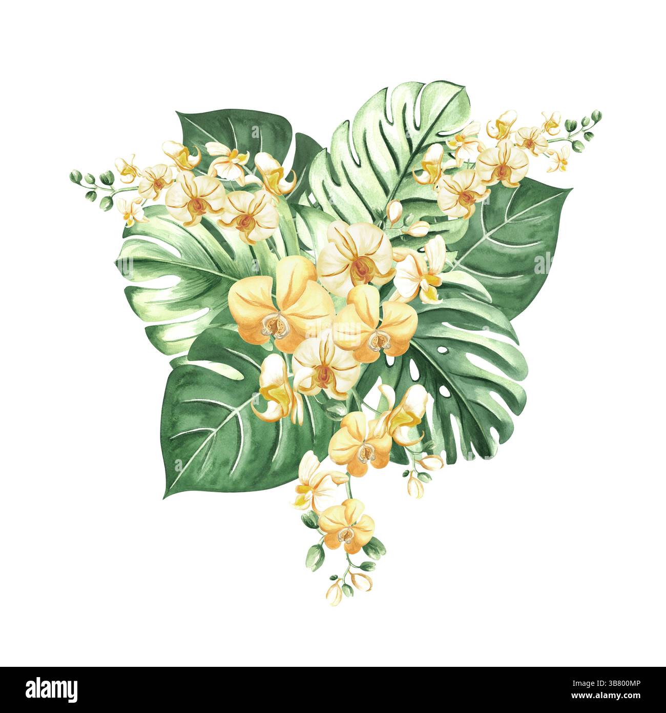 Tropische Blätter und gelbe Orchideenblumen isolierte Illustration für Sommer-Regenwald-Designs. Handgezeichnete grüne Monstera, phalaenopsis Stockfoto
