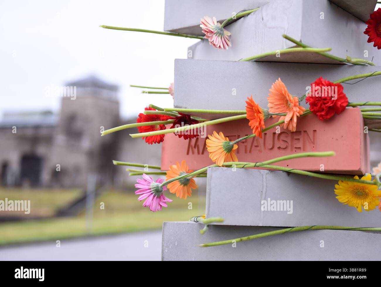 Wien, Österreich. Mai 2025. Dieses Foto vom 5. Mai 2025 zeigt Blumen auf einem neuen Denkmal an der KZ-Gedenkstätte Mauthausen in Oberösterreich, Österreich, 5. Mai 2025. Das Konzentrationslager Mauthausen war das erste Konzentrationslager, das von Nazi-Deutschland im Ausland errichtet wurde. Sie wurde im August 1938 erbaut und im Mai 1945 von den alliierten Truppen befreit. Nach dem Zweiten Weltkrieg wurde das Lager in ein Museum umgewandelt. Jedes Jahr wurde eine Zeremonie zur Ehrung der Opfer des NS-Deutschlands abgehalten. Quelle: He Canling/Xinhua/Alamy Live News Stockfoto