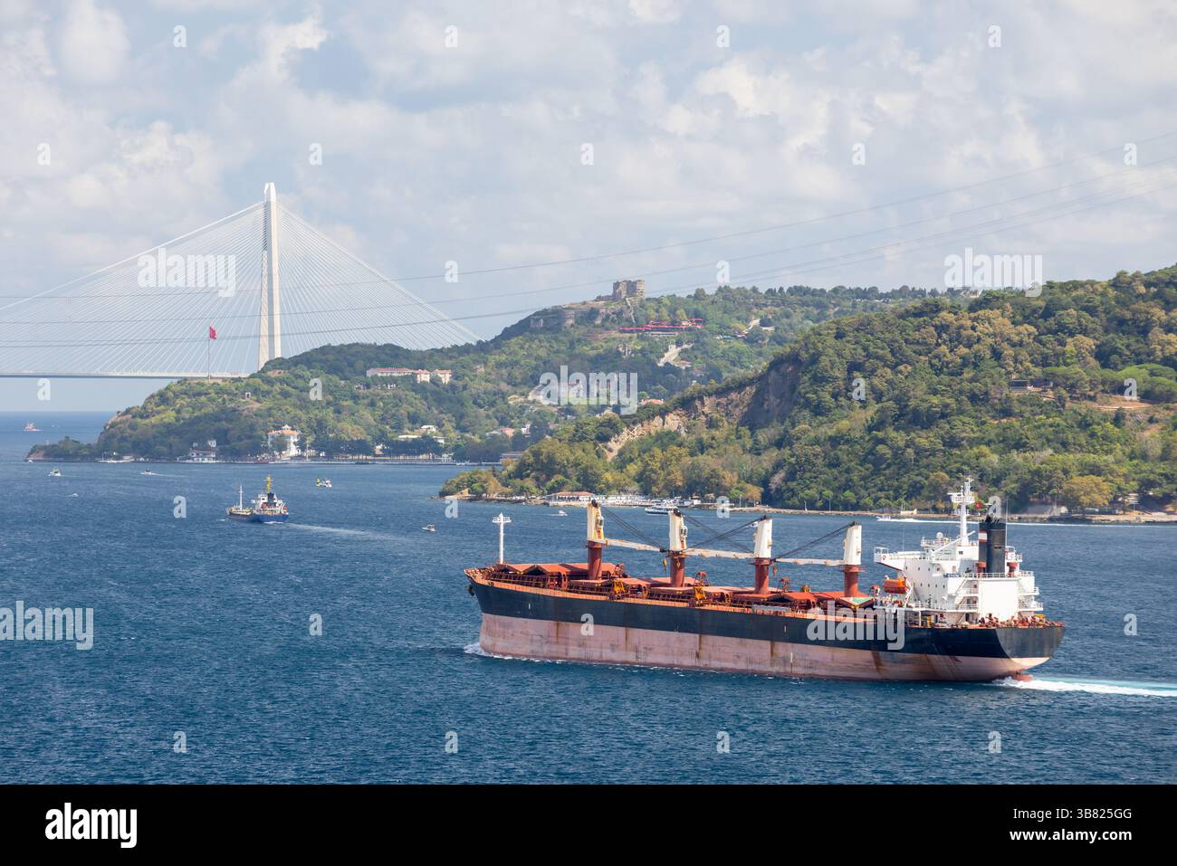 Ein malerischer Blick auf den Bosporus, der ein großes Frachtschiff zeigt, das über die Straße von Istanbul fährt, mit einer markanten Brücke und üppigen grünen Hügeln, die mit Strukturen geschmückt sind Stockfoto
