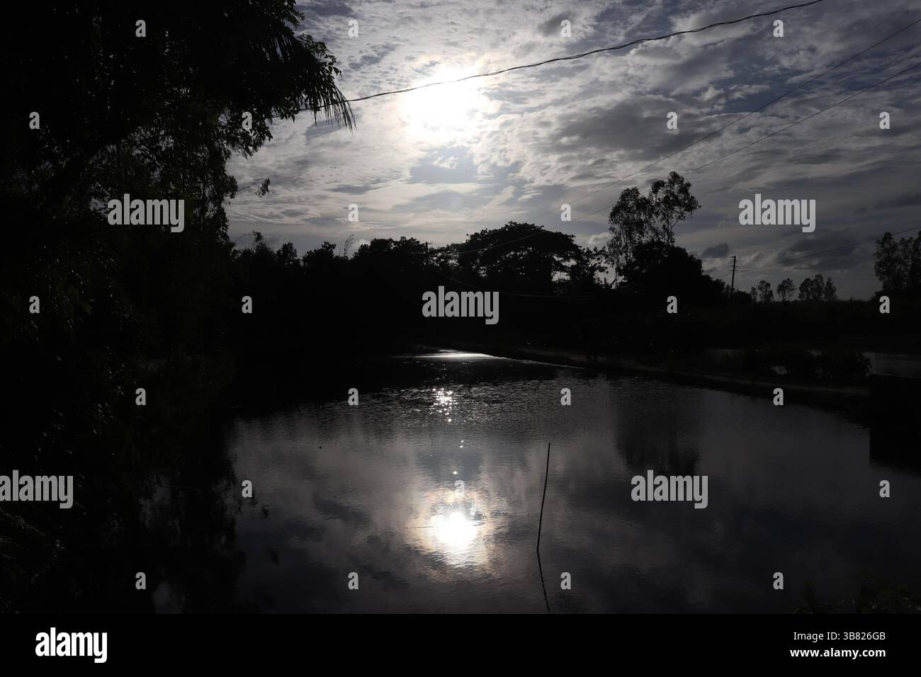Eine Aufnahme auf Augenhöhe zeigt die Reflexion der Sonne auf einem Wasserbecken, umgeben von Silhouettenbäumen mit bewölktem Himmel, die tagsüber mit sanfter Beleuchtung aufgenommen werden. Stockfoto