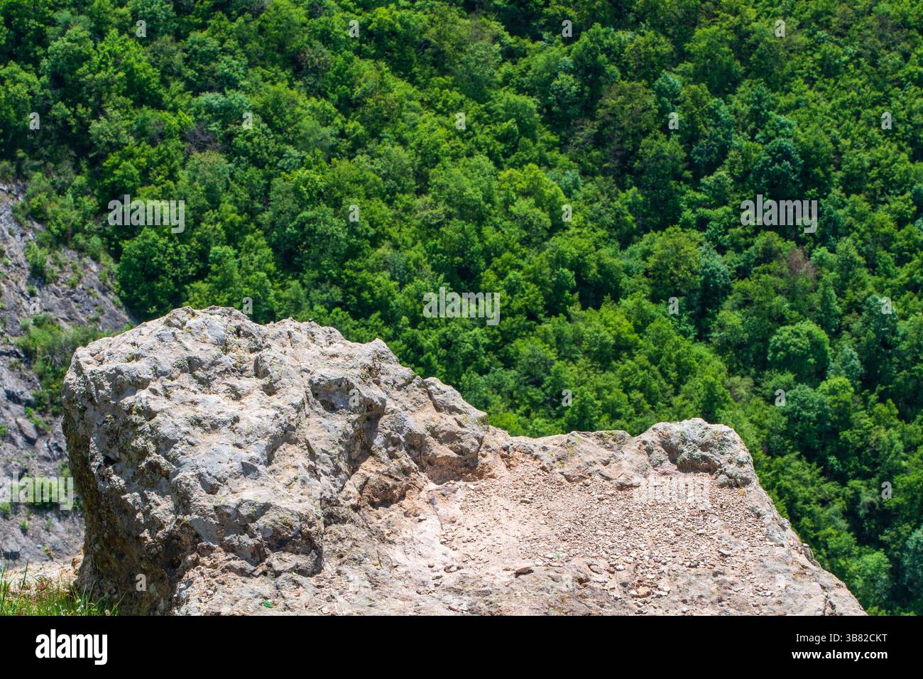 Am Rande der Wildnis Stockfoto