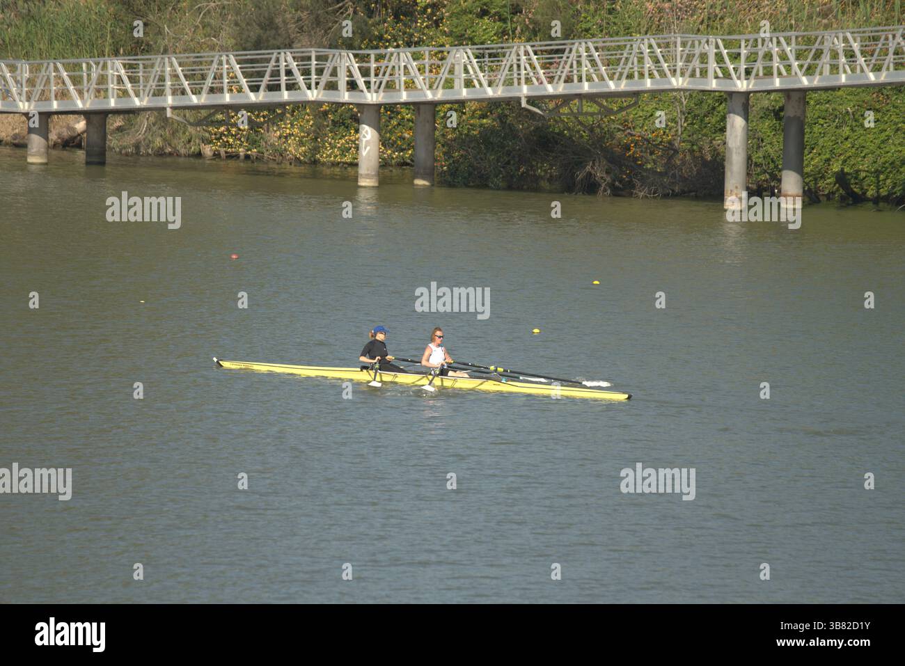Zwei Ruderer in einem gelben Boot trainiert auf dem Guadalquivir Fluss in Sevilla, Andalusien, Spanien, an einem ruhigen und sonnigen Tag. Sevilla, Spanien Stockfoto