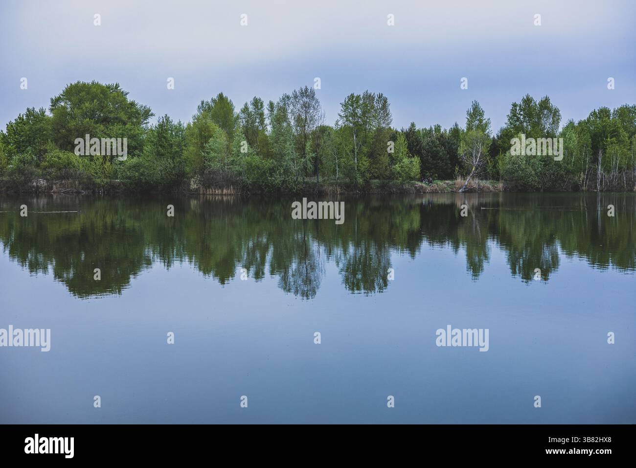 Ruhige Landschaft mit Bäumen in der Nähe des Sees Stockfoto