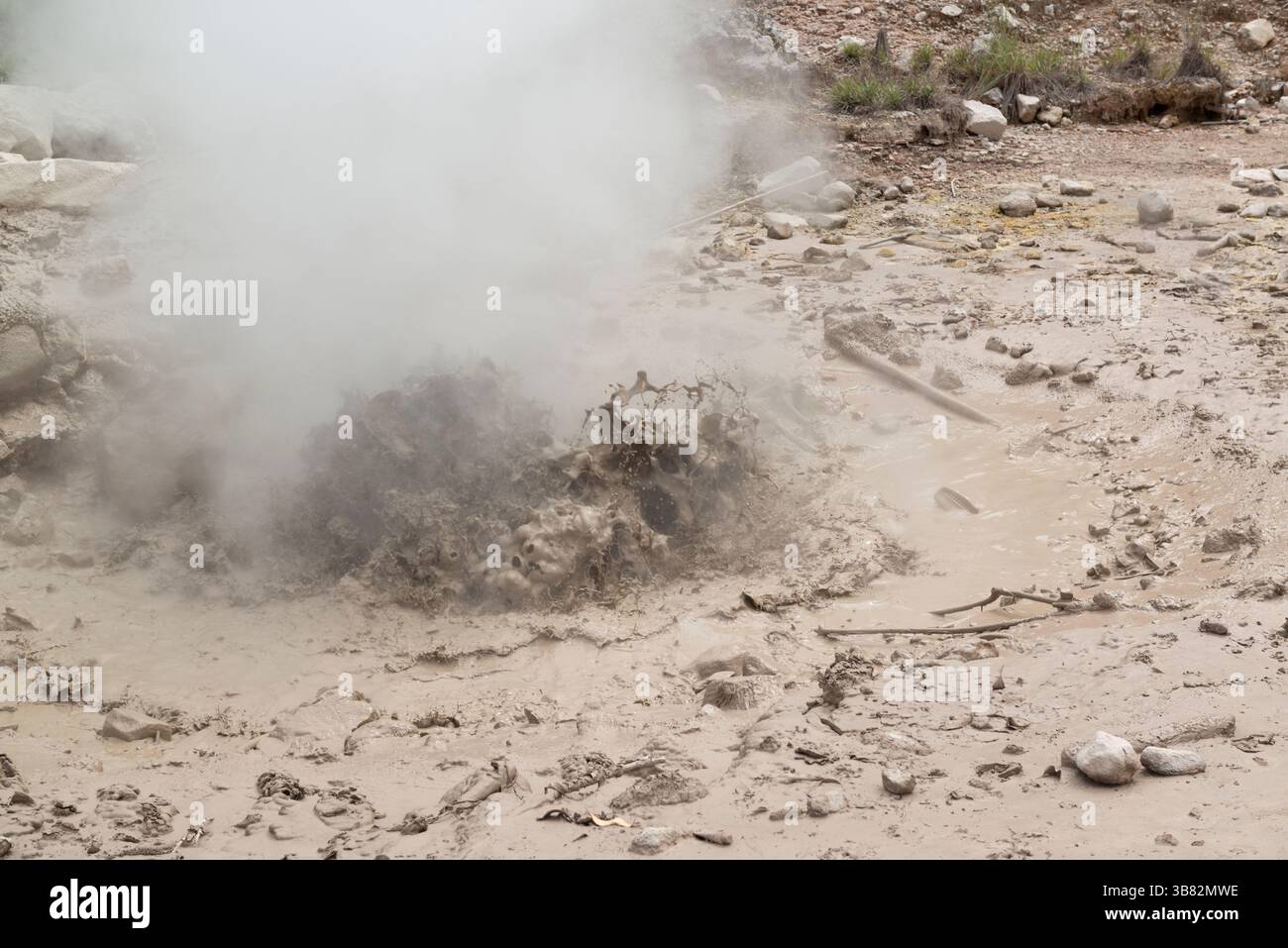 Sprudelnder Schlammpool in der Nähe von Ahuachapan, El Salvador Stockfoto