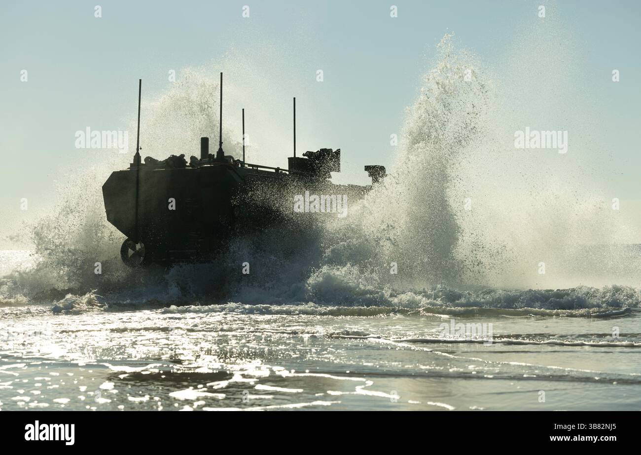 Ein Amphibienfahrzeug des U.S. Marine Corps fährt am 27. März 2025 auf dem Marine Corps Base Camp Lejeune in North Carolina in den Ozean. US-Marines und Stockfoto