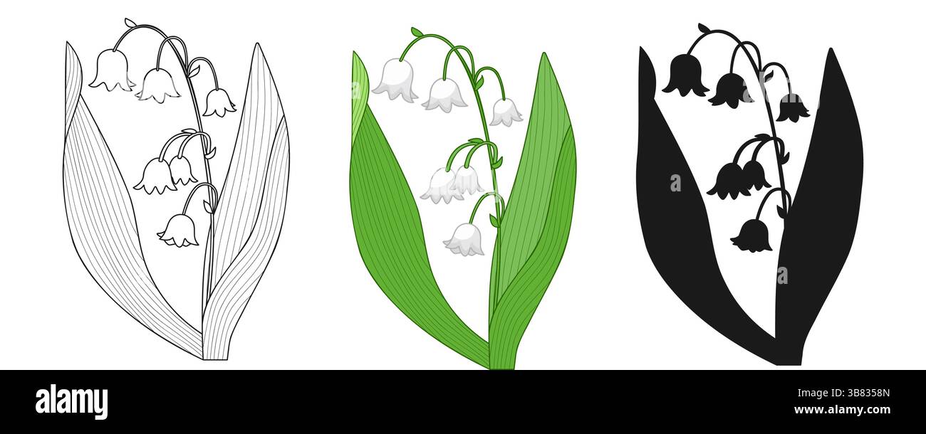 Silhouette Der Frühlingsblume Im Lily Valley Stock Vektor