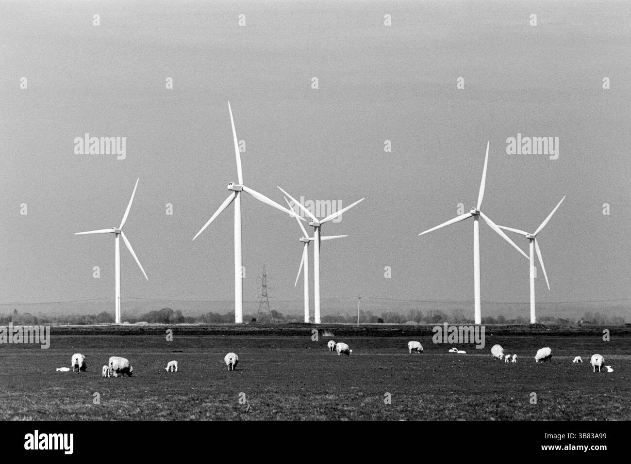 Windturbinen im Windpark Little Cheyne Court, Romney Marsh, Kent, Großbritannien Stockfoto