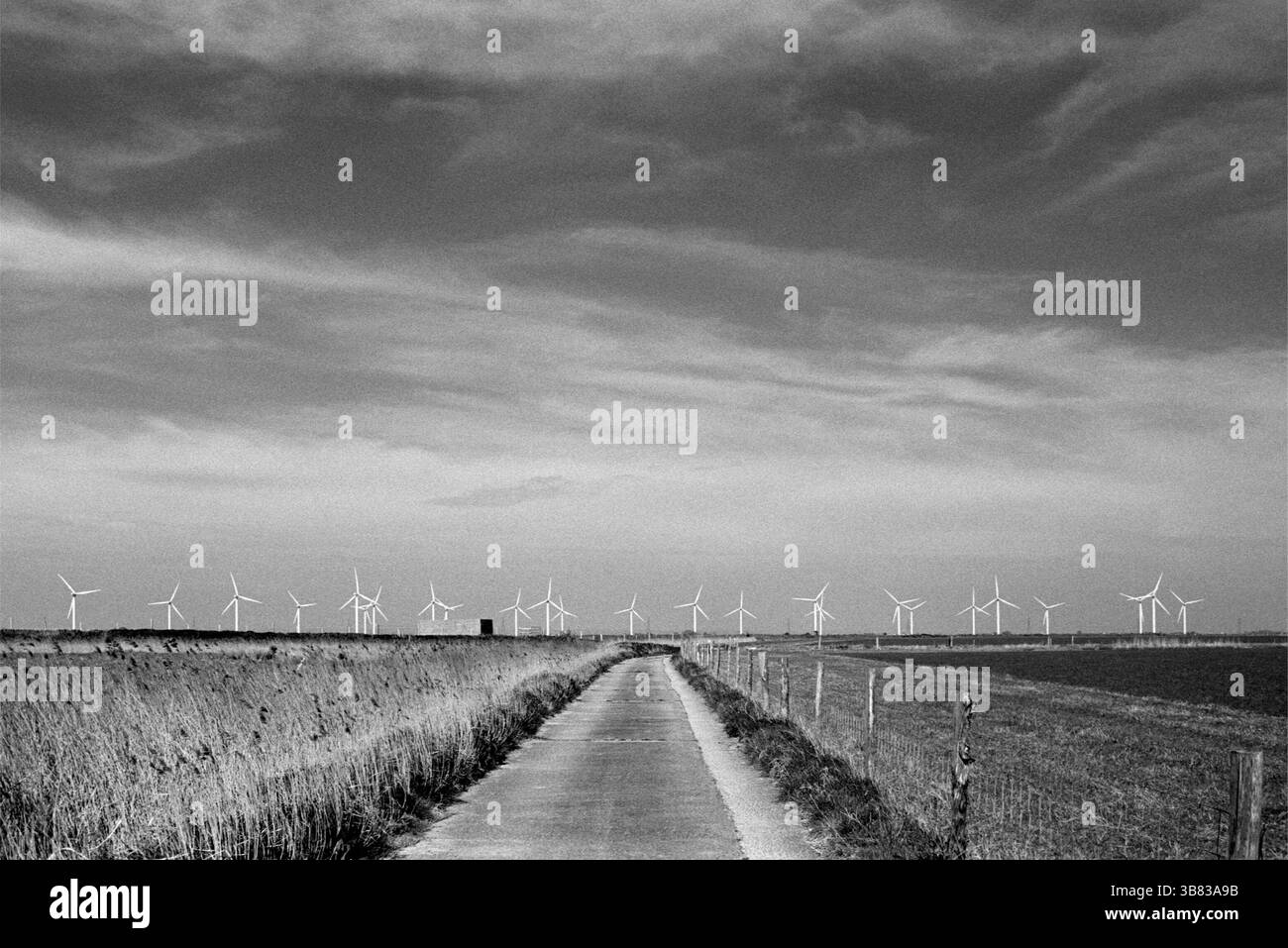 Windpark Little Cheyne Court in Romney Marsh, Kent, Südostengland Stockfoto