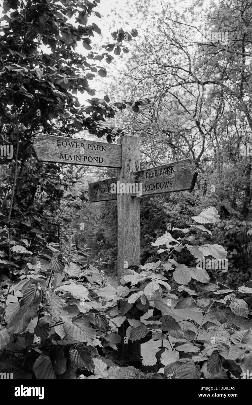 Melden Sie sich im Gillespie Park in der Nähe von Arsenal, North London, Großbritannien an Stockfoto