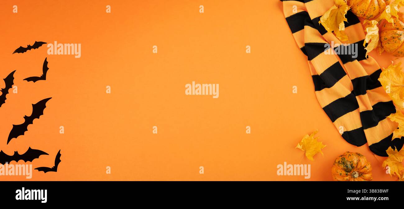 Halloween-Hintergrund. Kleiner Kürbis mit trockenen Ahornblättern und schwarz-orange gestreiften Socken für Party auf orangem Hintergrund. Draufsicht. Banner. Stockfoto