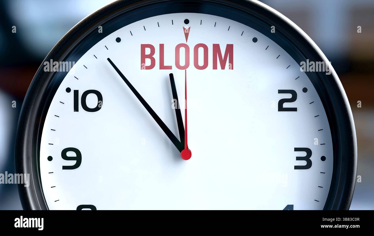 Blüht, das wird bald passieren. Die aufkommende Blüte nähert sich in naher Zukunft. Blüht fast hier, in kurzer Zeit - eine Uhr symbolisiert eine Erinnerung Stockfoto