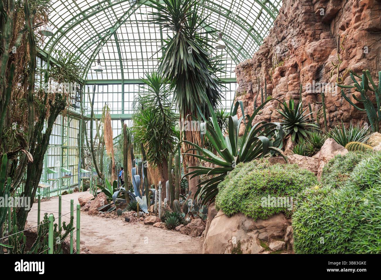 WIEN, ÖSTERREICH - 14. MAI 2019: Dies ist das künstliche Innere der Palmhaus-Orangerie im Schlosspark Schönbrunn. Stockfoto