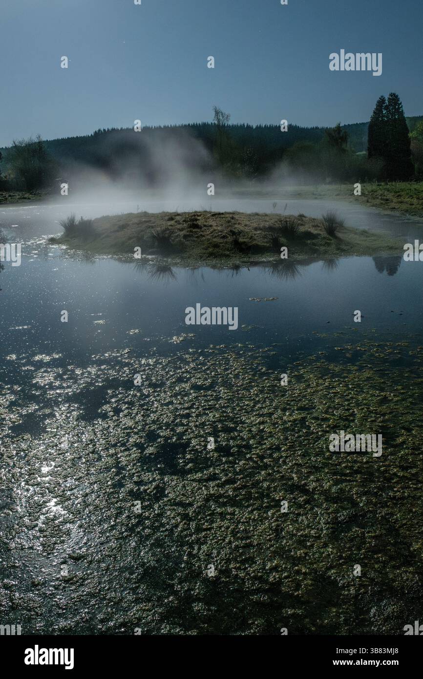 Nebel hängt in der Luft über einem Teich in einer klaren kalten Nacht, fotografiert bei Mondschein (Presteigne, UK) Stockfoto