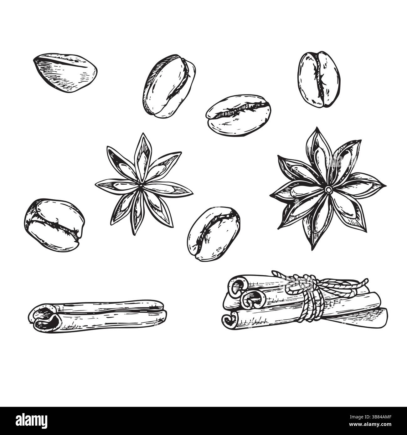 Zimtstangen, Anis, Kaffeebohnen Stock Vektor