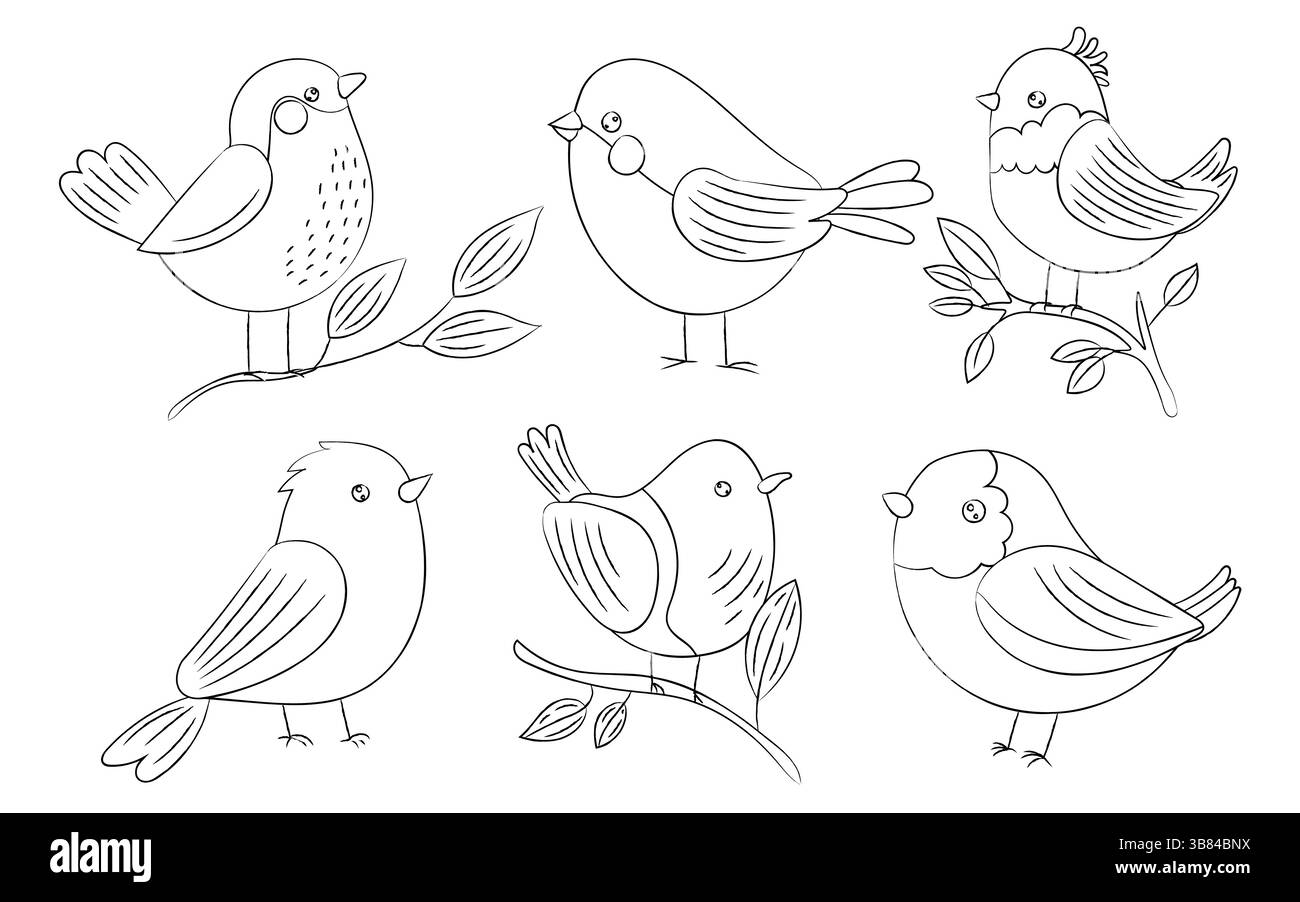Niedliche umrissene Vögel mit bezaubernden Details auf Ästen, perfekt für Natur, Tierwelt, Frühlingskunst, Skizzen, und handgezeichnete Ausmalseiten Stock Vektor