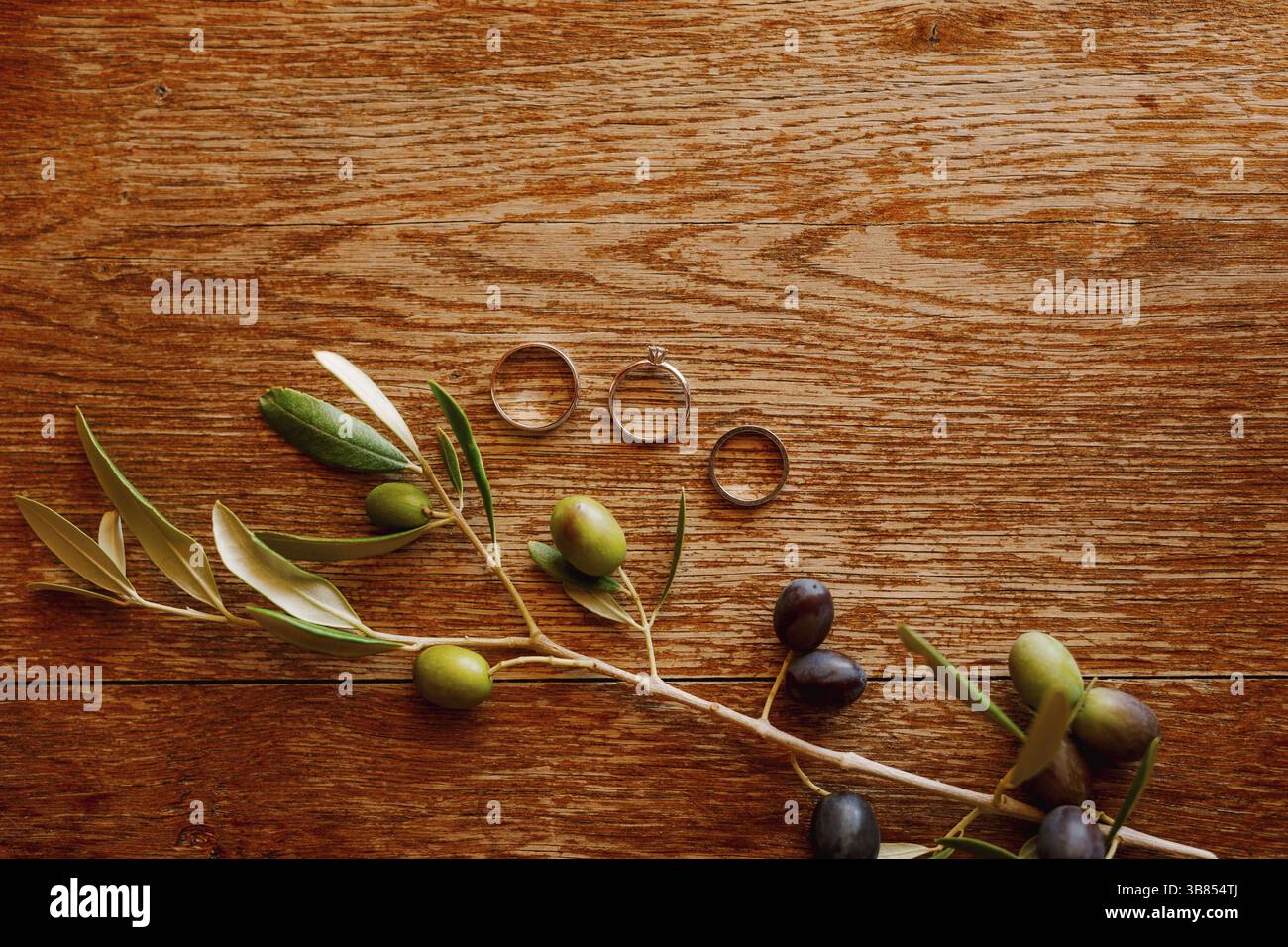 Goldene Eheringe und ein Verlobungsring auf braunem Hintergrund mit einem Zweig von Olivenbäumen. Stockfoto