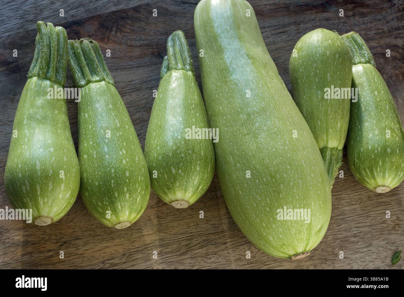 Leichte Zucchini Stockfoto