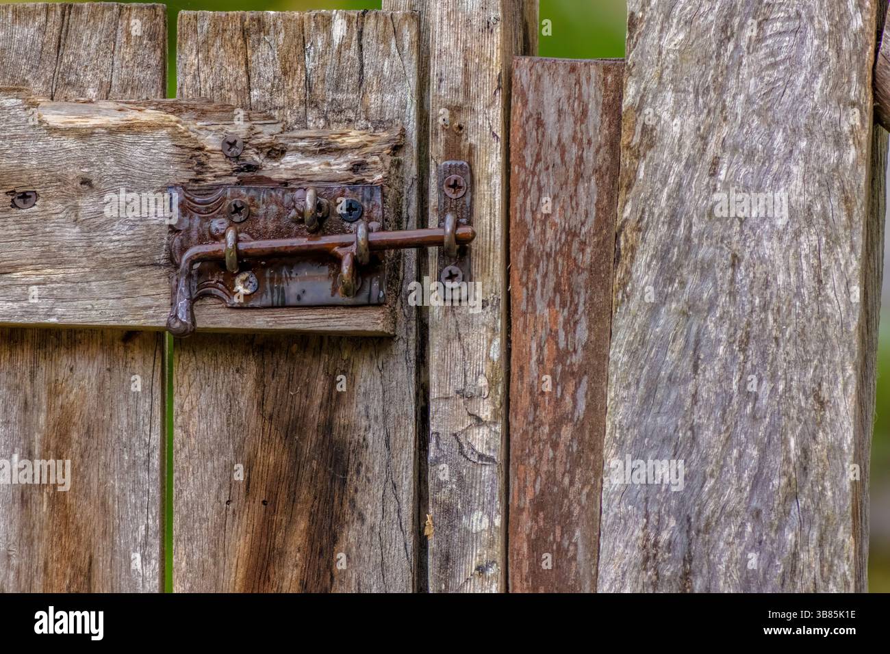 Ein alter rostiger Fassbolzen, der eine verwitterte Holztür eines Landhauses in den östlichen Andenbergen Zentral-Kolumbiens sichert Stockfoto