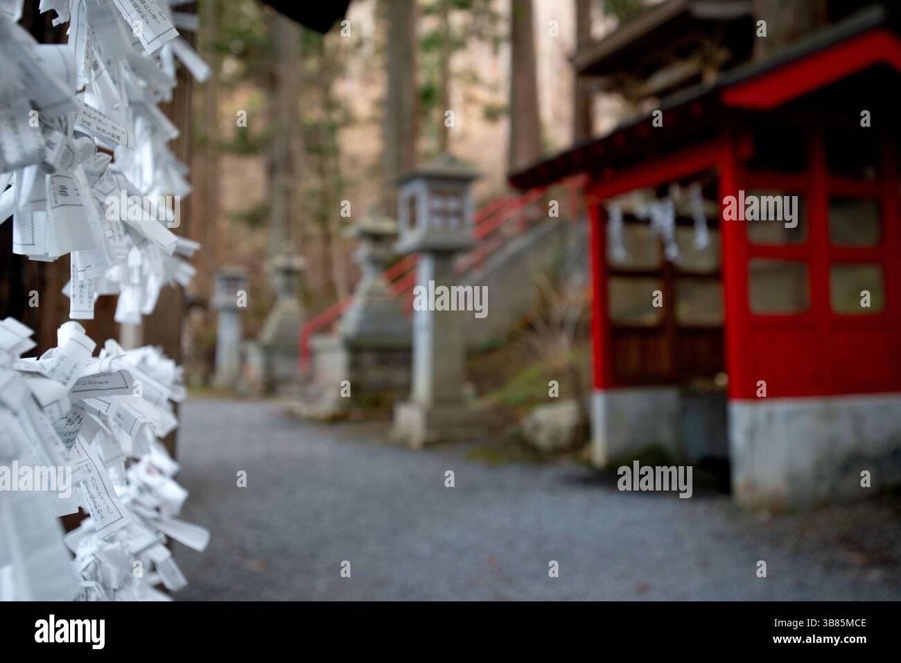 Nahaufnahme von Omikuji Fortune Slips in einem japanischen Shinto-Schrein Stockfoto