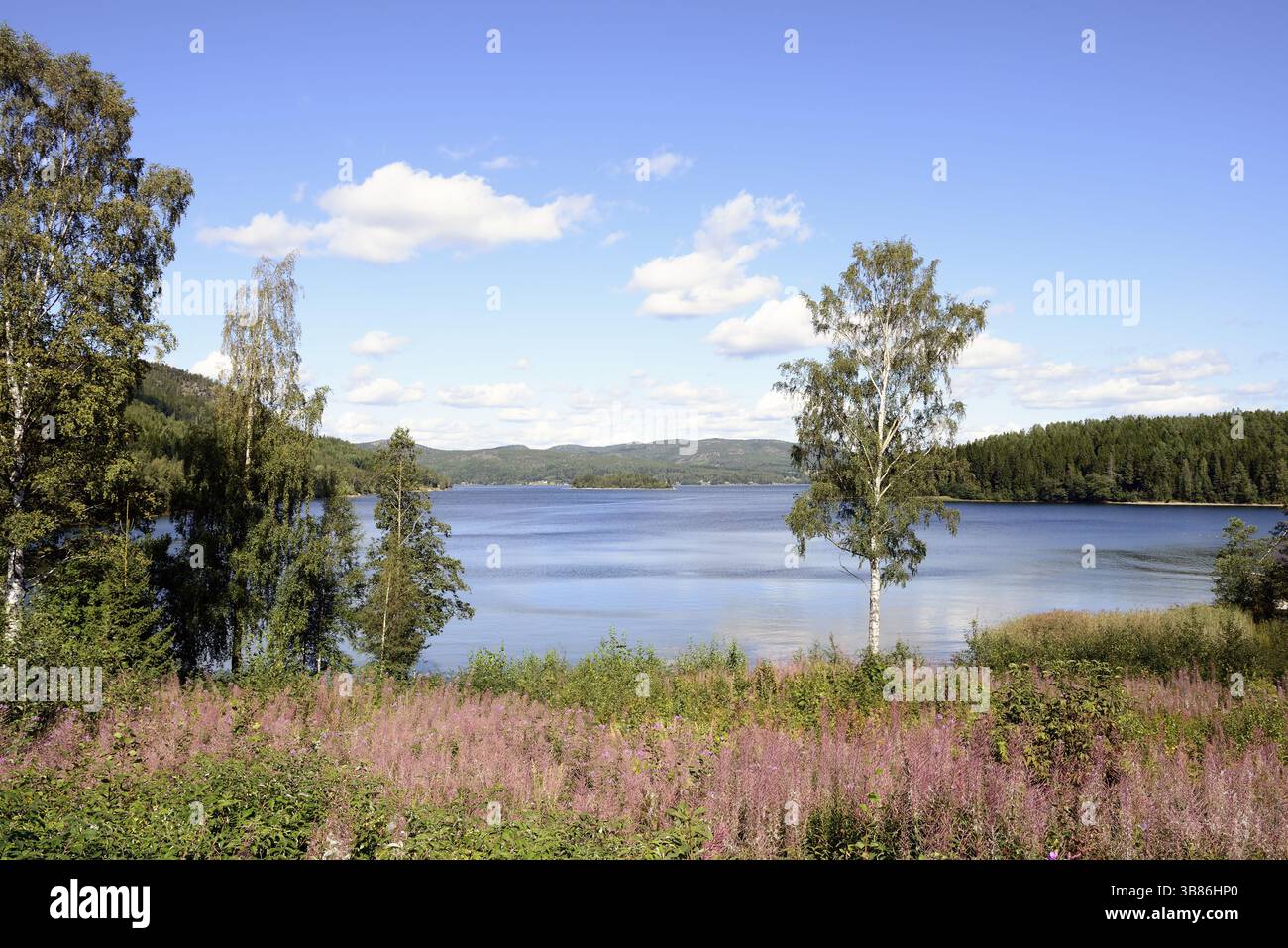 Panorama von der hohen Coas (Hoga Kusten) im Sommer Stockfoto