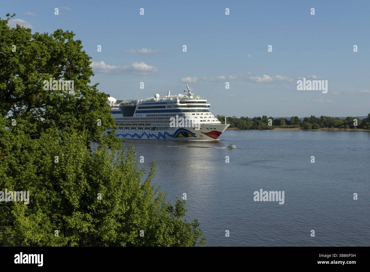 Sommerwetter im Mai, Kreuzfahrtschiff AIDAluna des Reiseveranstalters AIDA in der Abendsonne auf der Elbe, Elbhoehenweg Blankenese, Hamburg, Deutschland, Europ Stockfoto