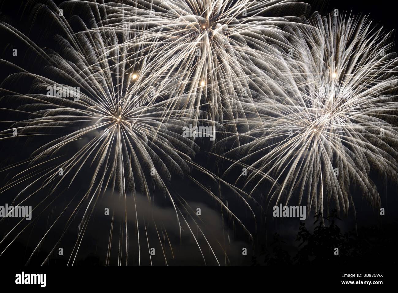 Wunderschönes buntes Feuerwerk am schwarzen Himmel Stockfoto