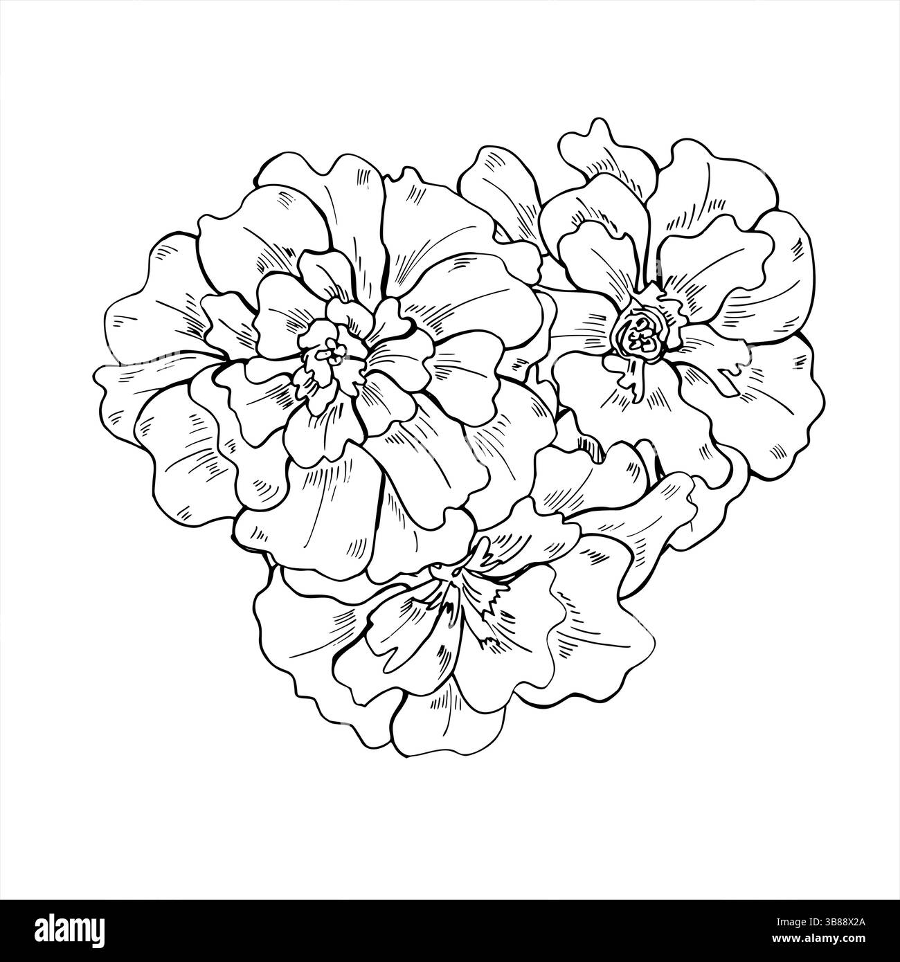 Minimalistische drei Ringelblumenköpfe in einer Komposition mit schwarzer Tinte von oben. Elegante Blumentrio Illustration für Hochzeit Schreibwaren, Bio Stock Vektor
