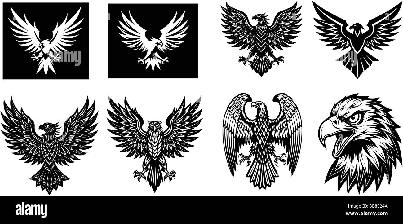 Vector Eagle-Logo-Set – Bold Black and White Bird of Prey Illustrations Stock Vektor