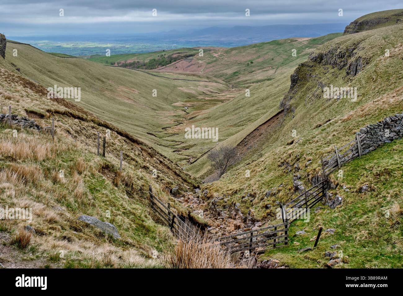 Rigg Beck und Dukerdale in der Nähe von Kirkby Stephen, Cumbria Stockfoto