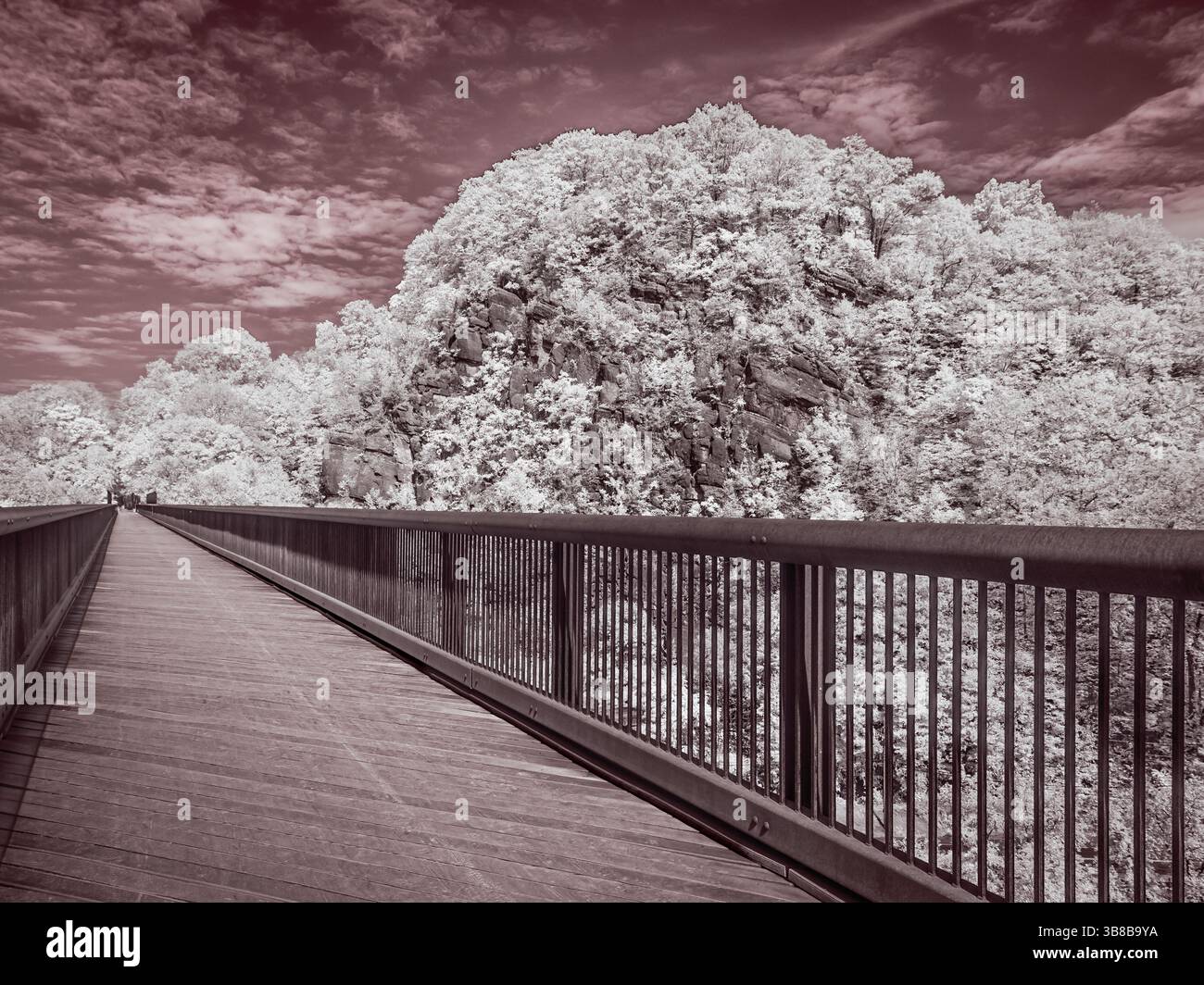 Landschaften, die mit einer 720-Nanometer-Kamera von Wanderungen im Hudson Valley aufgenommen wurden Stockfoto