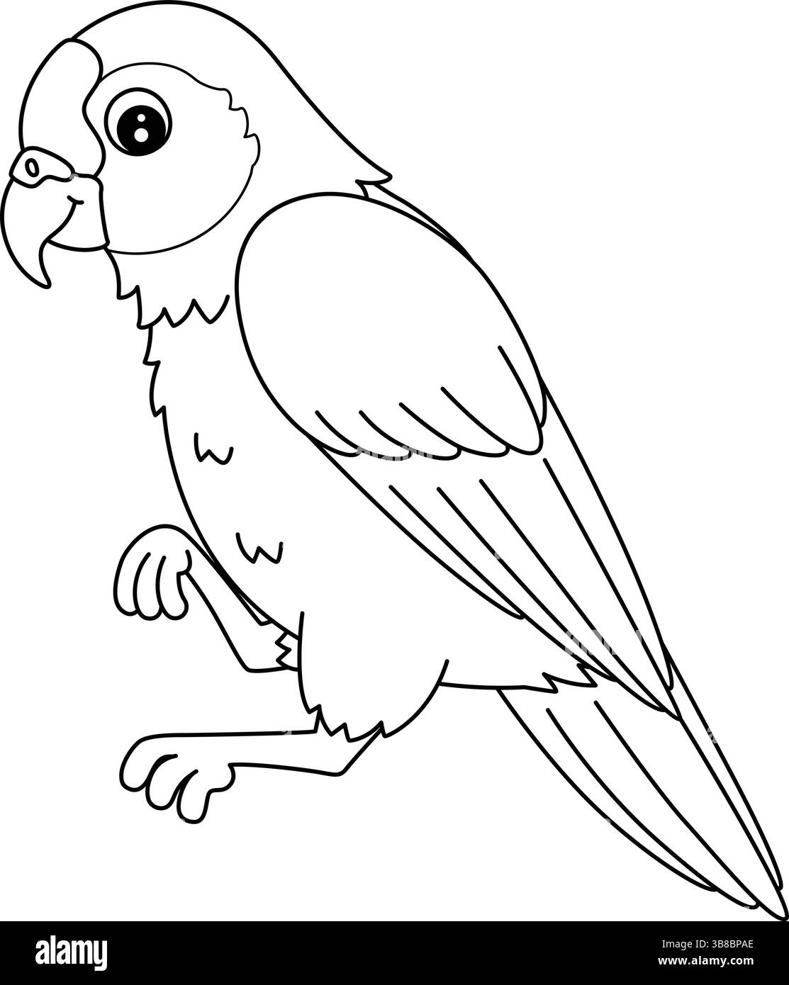 Bird Amazon Parrot isolierte Malseite für Kinder Stock Vektor