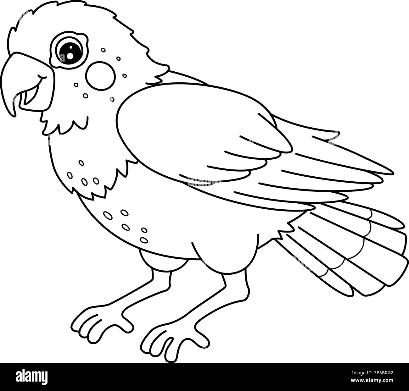 Vogel Pionus Parrot isolierte Malseite für Kinder Stock Vektor