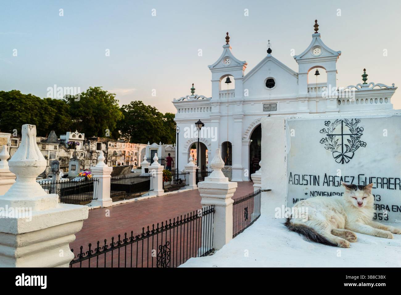 Eine weiße Katze schläft auf einem weißen Grab auf dem Friedhof vor den Feierlichkeiten der Karwoche in Mompox, Kolumbien. Stockfoto