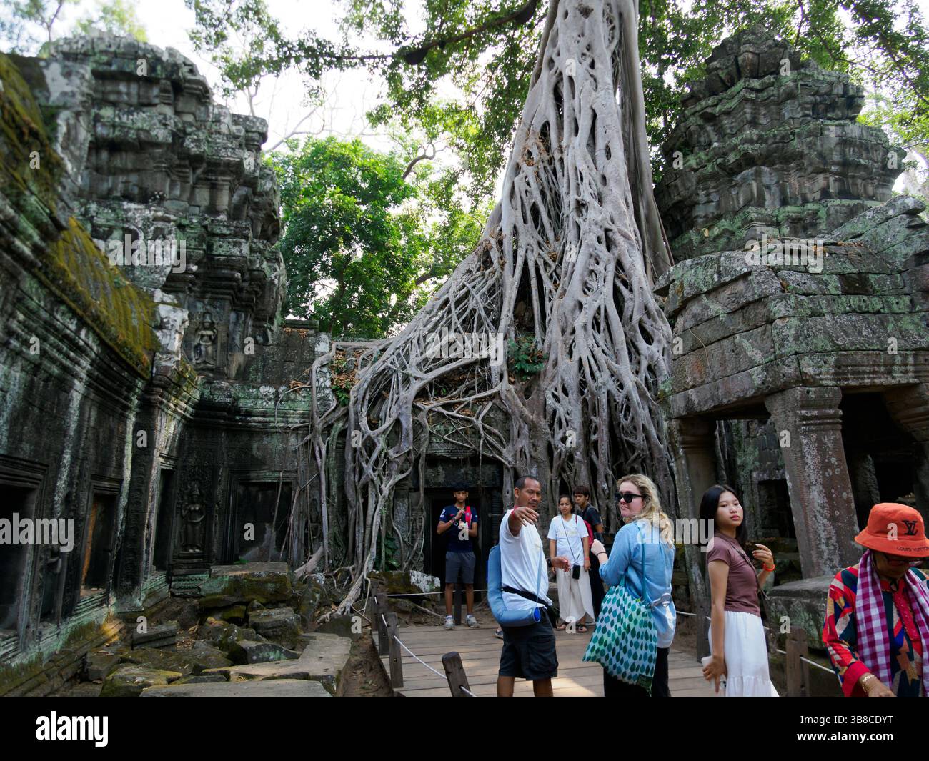 Ta Prohm 'Tomb Raider' Tempel, Kambodscha Stockfoto