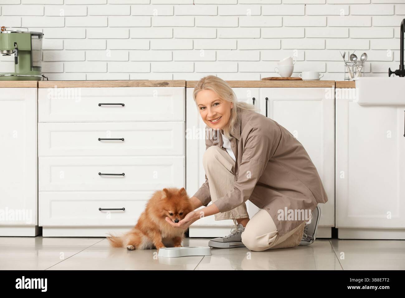 Reife Frau füttert süßen Pommerschen Hund in der Küche Stockfoto