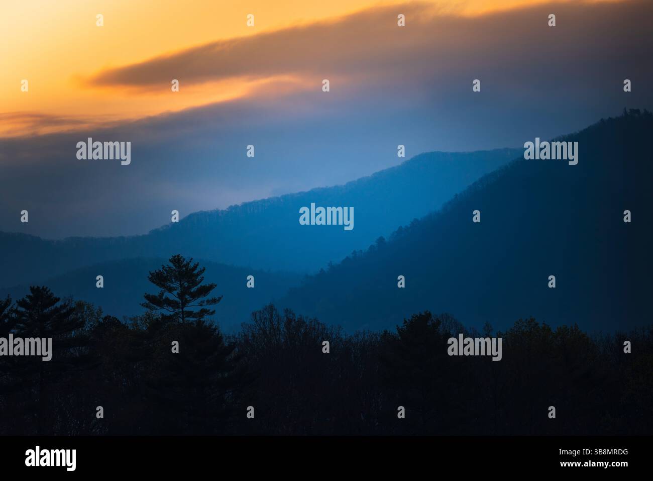 Natur Wildtiere Landschaft Astro Fotografie Stockfoto